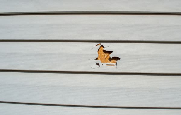 Siding Hole Patching in Galveston